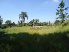 Terreno / Lote Comercial à venda, 20000m² no Rio Abaixo, Itaquaquecetuba - Foto 25
