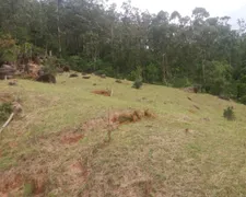 Terreno / Lote / Condomínio à venda, 16000m² no Santo Antônio de Lisboa, Florianópolis - Foto 4