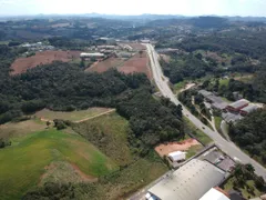 Terreno / Lote Comercial com 1 Quarto à venda, 37458m² no , Campo Magro - Foto 5