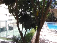 Apartamento com 3 Quartos à venda, 97m² no Vila Sônia, São Paulo - Foto 41