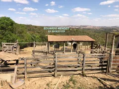 Fazenda / Sítio / Chácara com 3 Quartos à venda, 145200m² no Zona Rural, Gameleira de Goiás - Foto 2