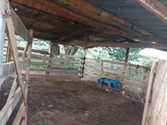 Fazenda / Sítio / Chácara com 6 Quartos à venda, 500m² no , Cristalina - Foto 23