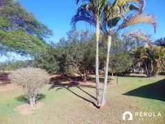 Fazenda / Sítio / Chácara com 5 Quartos à venda, 300m² no Zona Rural, Caldazinha - Foto 8