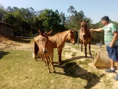 Fazenda / Sítio / Chácara com 3 Quartos à venda, 180000m² no Centro, Capivari - Foto 2