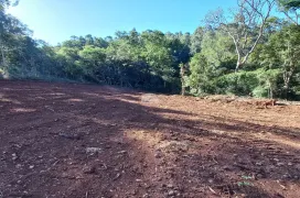 Fazenda / Sítio / Chácara à venda, 30000m² no Zona Rural, Pato Branco - Foto 10