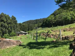 Fazenda / Sítio / Chácara com 2 Quartos à venda, 111900m² no , Gramado - Foto 20