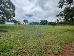 Terreno / Lote / Condomínio à venda, 290000m² no Zona Rural, São Sebastião do Oeste - Foto 3