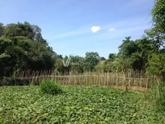 Fazenda / Sítio / Chácara com 5 Quartos à venda, 350m² no Reforma Agraria, Valinhos - Foto 5