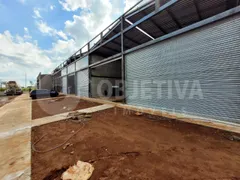 Galpão / Depósito / Armazém à venda, 360m² no Segismundo Pereira, Uberlândia - Foto 6