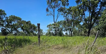 Fazenda / Sítio / Chácara com 3 Quartos à venda, 5200000m² no Zona Rural, Buritizeiro - Foto 8