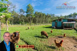 Fazenda / Sítio / Chácara com 2 Quartos à venda, 120m² no Campo da Brazina, Araricá - Foto 32