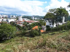 Terreno / Lote / Condomínio à venda, 494m² no Steffen, Brusque - Foto 5