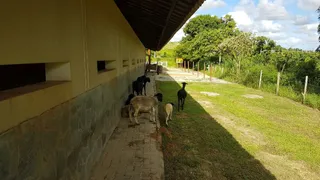 Fazenda / Sítio / Chácara com 1 Quarto à venda, 775m² no , Simões Filho - Foto 6