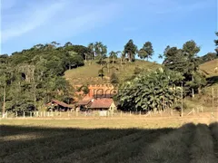 Fazenda / Sítio / Chácara à venda, 350000m² no Gaspar Grande, Gaspar - Foto 8