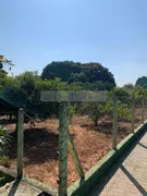 Fazenda / Sítio / Chácara com 7 Quartos à venda, 700m² no Portal de Pirapora, Salto de Pirapora - Foto 26