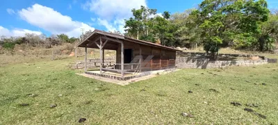 Fazenda / Sítio / Chácara com 1 Quarto à venda, 50m² no Joaquim Egídio, Campinas - Foto 3