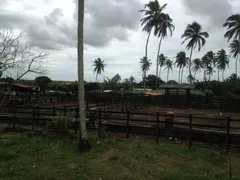 Fazenda / Sítio / Chácara com 3 Quartos à venda, 25000m² no Centro, Ceará Mirim - Foto 4