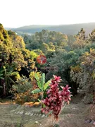 Fazenda / Sítio / Chácara com 3 Quartos à venda, 250m² no Centro, São Roque - Foto 3