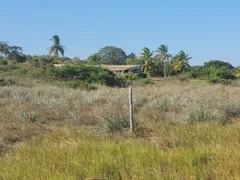 Fazenda / Sítio / Chácara com 2 Quartos à venda, 12600m² no , Itaporanga d'Ajuda - Foto 9