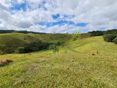 Fazenda / Sítio / Chácara com 3 Quartos à venda, 508200m² no Centro, Piracaia - Foto 17