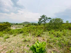 Fazenda / Sítio / Chácara com 4 Quartos à venda, 144000m² no Zona Rural, Faina - Foto 44