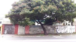 Terreno / Lote / Condomínio com 1 Quarto à venda, 100m² no Brasilândia, São Paulo - Foto 7