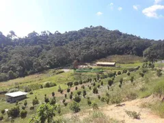 Fazenda / Sítio / Chácara com 4 Quartos à venda, 210000m² no Santa Terezinha, São Luiz do Paraitinga - Foto 4