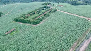 Fazenda / Sítio / Chácara com 3 Quartos à venda, 10m² no Centro, Descalvado - Foto 7