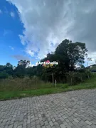 Terreno / Lote / Condomínio à venda, 255m² no Panazzolo, Caxias do Sul - Foto 5