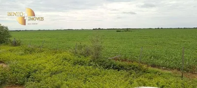 Fazenda / Sítio / Chácara à venda, 7270000m² no Zona Rural, Poconé - Foto 4