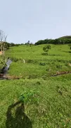 Fazenda / Sítio / Chácara à venda, 20000m² no Pedra Branca, Alfredo Wagner - Foto 9