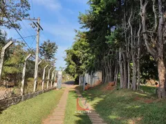 Fazenda / Sítio / Chácara com 3 Quartos à venda, 7406m² no Campo Novo, Bragança Paulista - Foto 16