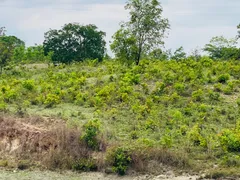 Fazenda / Sítio / Chácara com 4 Quartos à venda, 144000m² no Zona Rural, Faina - Foto 42