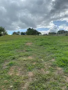 Terreno / Lote / Condomínio à venda, 5000m² no Piquira, Porto Feliz - Foto 4