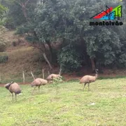 Fazenda / Sítio / Chácara com 2 Quartos à venda, 21000m² no Serra, Teresópolis - Foto 5