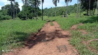 Fazenda / Sítio / Chácara à venda no Zona Rural, Bom Jardim de Goiás - Foto 4