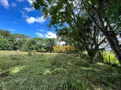 Fazenda / Sítio / Chácara com 3 Quartos à venda, 190m² no Centro, Campo Magro - Foto 29
