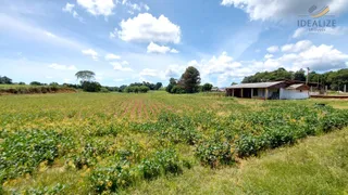 Fazenda / Sítio / Chácara com 2 Quartos à venda, 194m² no Faxina, São José dos Pinhais - Foto 12