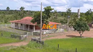 Fazenda / Sítio / Chácara com 2 Quartos à venda, 8300000m² no Area Rural de Porto Velho, Porto Velho - Foto 20
