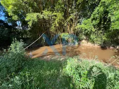 Fazenda / Sítio / Chácara com 3 Quartos à venda, 80m² no Zona Rural, São Sebastião do Oeste - Foto 43