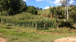 Fazenda / Sítio / Chácara com 3 Quartos à venda, 363000m² no Bairro Alto, Natividade da Serra - Foto 19