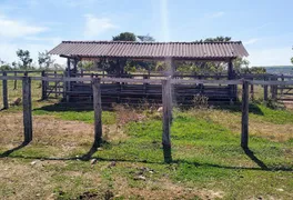 Fazenda / Sítio / Chácara com 3 Quartos à venda, 90m² no Zona Rural, Jaraguá - Foto 7