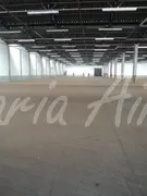 Galpão / Depósito / Armazém para venda ou aluguel, 40000m² no Ceat, São Carlos - Foto 5