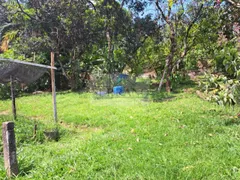 Fazenda / Sítio / Chácara com 3 Quartos à venda, 180m² no Vista Alegre, Vinhedo - Foto 2