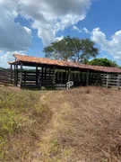 Fazenda / Sítio / Chácara com 2 Quartos à venda, 272m² no , Itapecuru Mirim - Foto 3