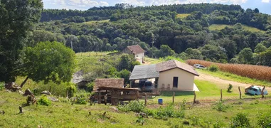 Fazenda / Sítio / Chácara com 3 Quartos à venda, 27225m² no Tietê, Araucária - Foto 11