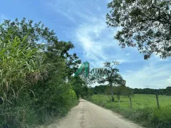 Fazenda / Sítio / Chácara com 4 Quartos para venda ou aluguel, 500m² no , Esmeraldas - Foto 188