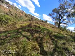 Terreno / Lote / Condomínio com 1 Quarto à venda, 5000m² no Jardim das Mangabeiras, Mateus Leme - Foto 10