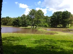 Fazenda / Sítio / Chácara com 3 Quartos à venda, 330000m² no Zona Rural, Três Coroas - Foto 2