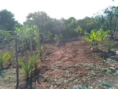 Fazenda / Sítio / Chácara à venda, 1500m² no Zona Rural, Jataizinho - Foto 13